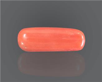 Natural Coral  8.19RTS-27408